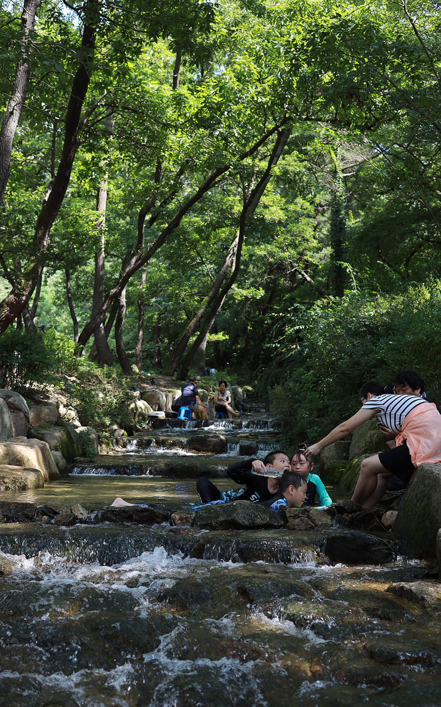 삼남매여름