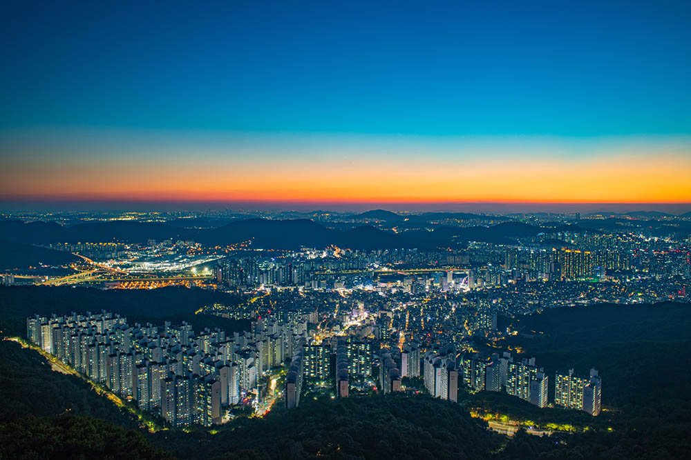 여름밤에 내린 별빛